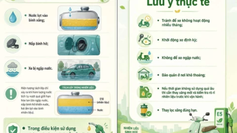 Bộ Công Thương khuyến cáo không nên tồn trữ E10 quá lâu. Xe ít chạy phải làm sao?