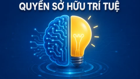 Khởi tố hình sự 28 vụ xâm phạm sở hữu trí tuệ chỉ sau 3 tuần cao điểm