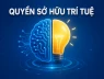 Khởi tố hình sự 28 vụ xâm phạm sở hữu trí tuệ chỉ sau 3 tuần cao điểm