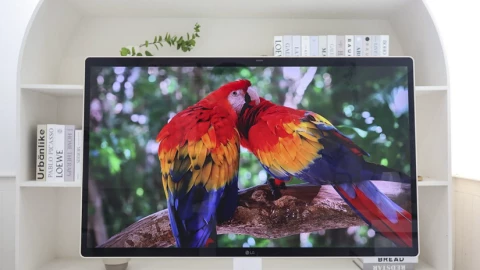 Đánh giá LG Smart Monitor Swing: chiếc màn hình giao thoa hoàn hảo giữa làm việc chuyên nghiệp và giải trí