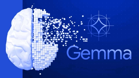 Gemma skills là gì? dành cho ai?