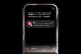 Sếp lớn giải thích lý do Apple quay xe, ra mắt ứng dụng Siri độc lập trên iOS 27