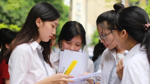 Sử dụng AI như thế nào để tạo nên sự cộng hưởng trí tuệ?