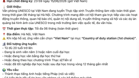 Mô tả công việc thực tập sinh của UNESCO nhận gạch đá vì không khác gì "bóc lột"