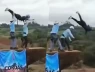 Không móc dây an toàn vẫn đẩy khách nhảy bungee từ độ cao 40m, nhóm nhân viên đưa lời khai gây phẫn nộ