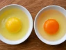 Tưởng lòng đỏ trứng càng đỏ đậm càng bổ: Sự thật ngã ngửa!