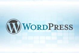 Hàng triệu website doanh nghiệp đứng trước nguy cơ bị chiếm quyền từ chính công cụ đang sử dụng
