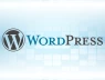Hàng triệu website doanh nghiệp đứng trước nguy cơ bị chiếm quyền từ chính công cụ đang sử dụng