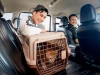 Grab Việt Nam tích hợp trợ lý AI vào dịch vụ đi chợ