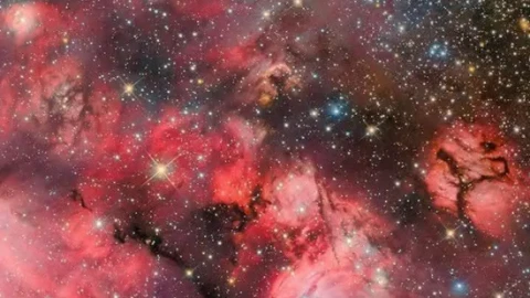 Hubble ghi lại cảnh tượng ngoạn mục: Sao non chào đời tại vườn ươm vũ trụ N159