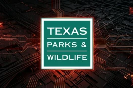 Hơn 3 triệu giấy phép lái xe và hộ chiếu bị lộ trong vụ tấn công mạng tại Texas