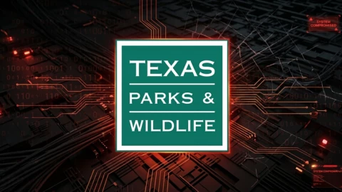 Hơn 3 triệu giấy phép lái xe và hộ chiếu bị lộ trong vụ tấn công mạng tại Texas