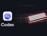SSD của bạn có thể bị hỏng chỉ sau một năm vì phần mềm này của OpenAI