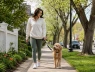 Chỉ từ 40 nghìn/giờ thuê chó dắt dạo phố: Trào lưu gây tranh cãi dữ dội tại Trung Quốc