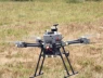 Tương lai drone: Học chim cắt để chinh phục gió nhiễu loạn