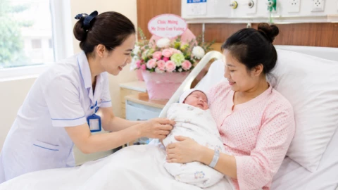 29 luật và hàng loạt quy định mới có hiệu lực từ tháng 7/2026
