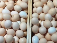 Thường xuyên ăn trứng vào buổi sáng và đây là những gì sẽ xảy ra với cơ thể của bạn