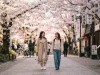 Tree AI: Công nghệ phát hiện cây sắp đổ chỉ trong vài phút của người Nhật