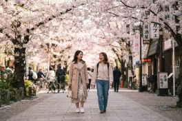 Tree AI: Công nghệ phát hiện cây sắp đổ chỉ trong vài phút của người Nhật