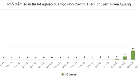 Công an vào cuộc làm rõ 150 điểm 10 toán tại Tuyên Quang