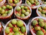 Tử vi ngày 7 tháng 7: Tiểu Thử giao mùa, 12 con giáp cần cẩn trọng điều gì?