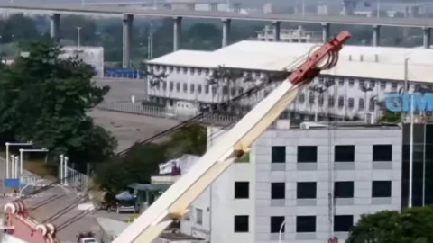 Một sản phẩm "Made in China" khác đang bán chạy như tôm tươi trên toàn thế giới
