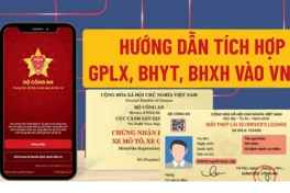 Bị tước giấy phép lái xe trên VNeID, có được sử dụng bản cứng thay thế?