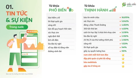 Bắt sóng gu lướt web của người Việt: Nhạy bén với chính sách, "bắt trend" AI cực nhanh