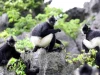 Việt Nam lập hồ sơ trình UNESCO công nhận Di sản thế giới cho một khu cảnh quan miền Bắc