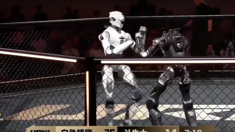 Khi robot đấu MMA: bị đá bay đầu vẫn lội ngược dòng thắng trận