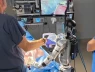 Bước đột phá y học: Robot hình người hoàn thành ca cắt túi mật đầu tiên