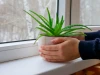 Phong thủy nhà ở: 8 nguyên tắc bố cục ảnh hưởng đến tài lộc và vận mệnh gia chủ