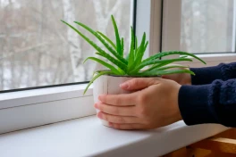Phong thủy nhà ở: 8 nguyên tắc bố cục ảnh hưởng đến tài lộc và vận mệnh gia chủ