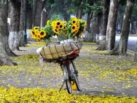 Tháng 8: 4 con giáp này quý nhân vây quanh, tiền bạc đầy túi, không gặp bất trắc
