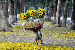 Tháng 8: 4 con giáp này quý nhân vây quanh, tiền bạc đầy túi, không gặp bất trắc