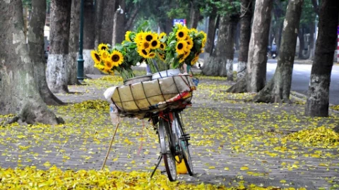 Tháng 8: 4 con giáp này quý nhân vây quanh, tiền bạc đầy túi, không gặp bất trắc