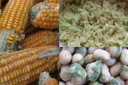 2 loại hạt nhất định phải tránh xa, ăn vào còn hại hơn cả đồ ăn nhanh