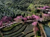 Tháng 8: 3 con giáp này lật ngược vận mệnh, tài lộc đổ về sau chuỗi ngày gian nan.