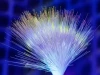 Mạng 6G có thể chạy bằng... tơ tằm: Ý tưởng kỳ lạ nhưng cực kỳ hứa hẹn!