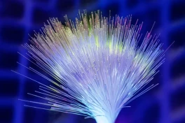 Mạng 6G có thể chạy bằng... tơ tằm: Ý tưởng kỳ lạ nhưng cực kỳ hứa hẹn!