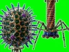 AI thiết kế virus mới chưa từng có: Lo ngại về viễn cảnh tận thế