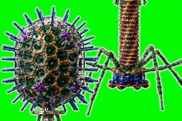 AI thiết kế virus mới chưa từng có: Lo ngại về viễn cảnh tận thế