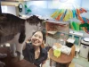 Mèo, coworking và nhà tắm cổ truyền: Cách người Nhật nâng tầm dịch vụ cà phê mèo