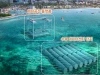 Hàn Quốc đưa máy chủ AI xuống... đáy biển
