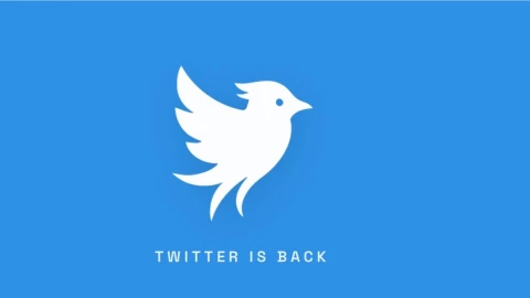 Cái tên "Twitter" hồi sinh