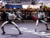 Cổ phiếu Unitree bốc hơi gần một nửa sau màn chào sàn: Robot hình người chưa kịp đi vững, bong bóng đã xì hơi?