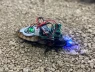 AI giúp “gián cyborg” tự nhận biết nguy hiểm, mở đường cho nhiệm vụ tìm kiếm cứu nạn