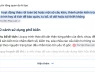 Tìm kiếm AI hoạt động thế nào và liệu bạn có nên tin tưởng?