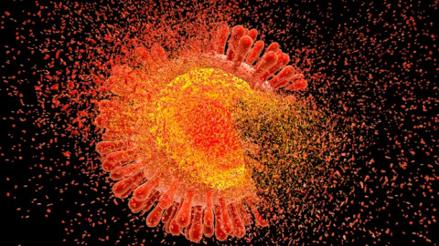Loại thuốc mới đột phá có thể ngăn ngừa nhiễm HIV với tỷ lệ 100%