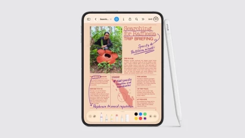 Có thể dùng bút Apple Pencil với iPhone không? Câu trả lời khá phức tạp